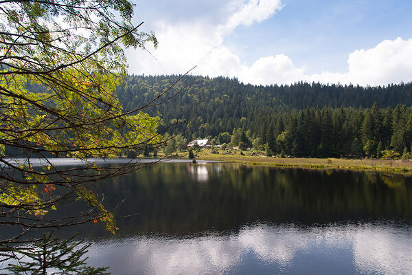 Naturidyll Bayerischer Wald